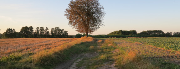 Hľadáme pozemok od 300 m2
