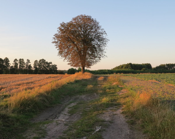 Hľadáme pozemok od 300 m2